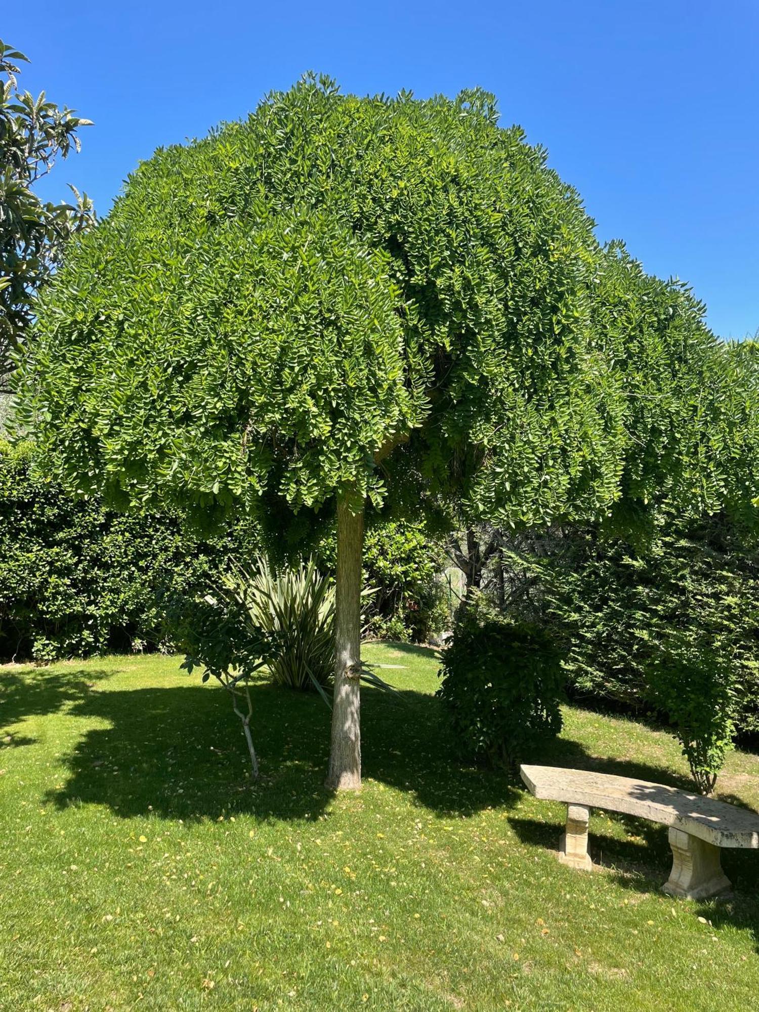 Le Clos Serein Le Beausset Exterior foto